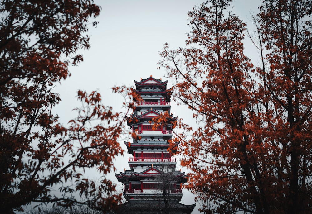 red and black pagoda temple