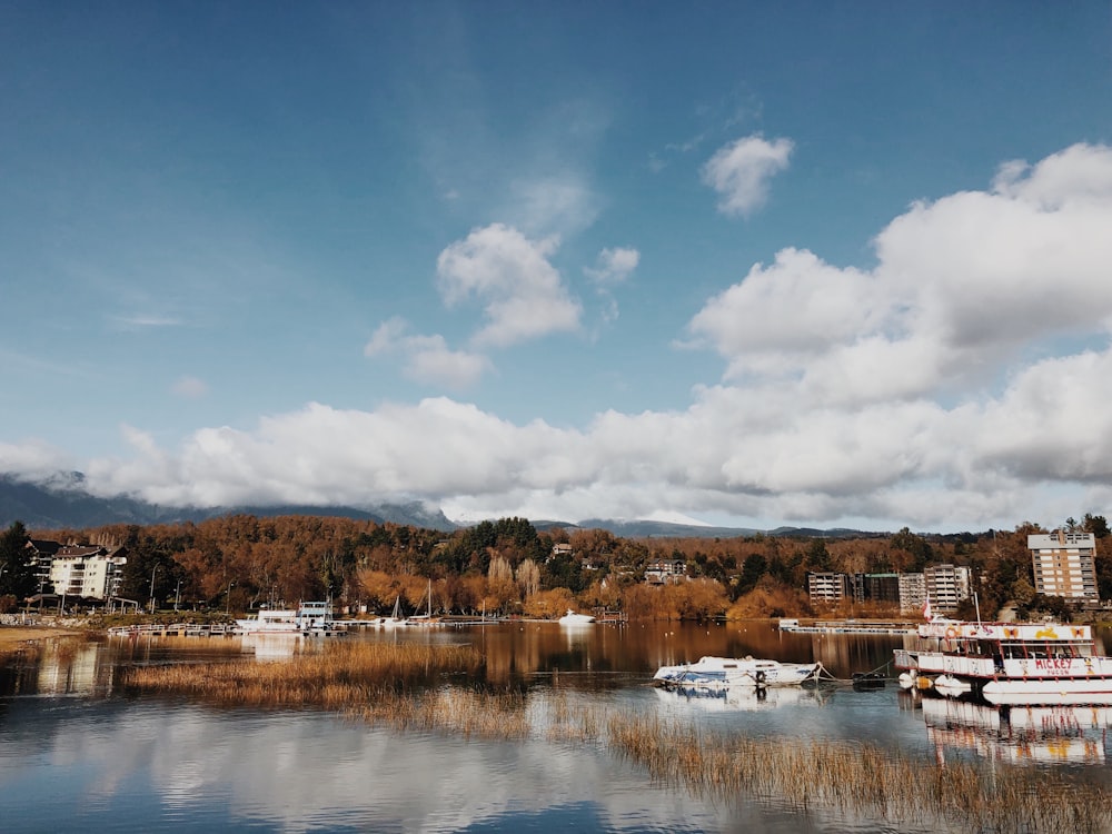 brown and white houses near lake under blue and white cloudy sky during daytime