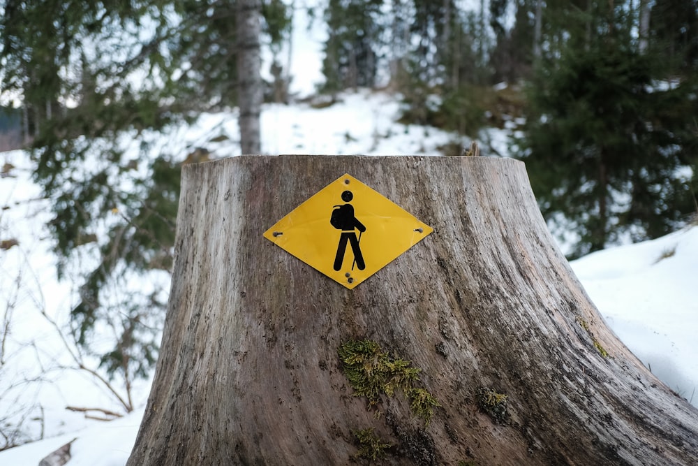 yellow and black arrow sign on brown tree