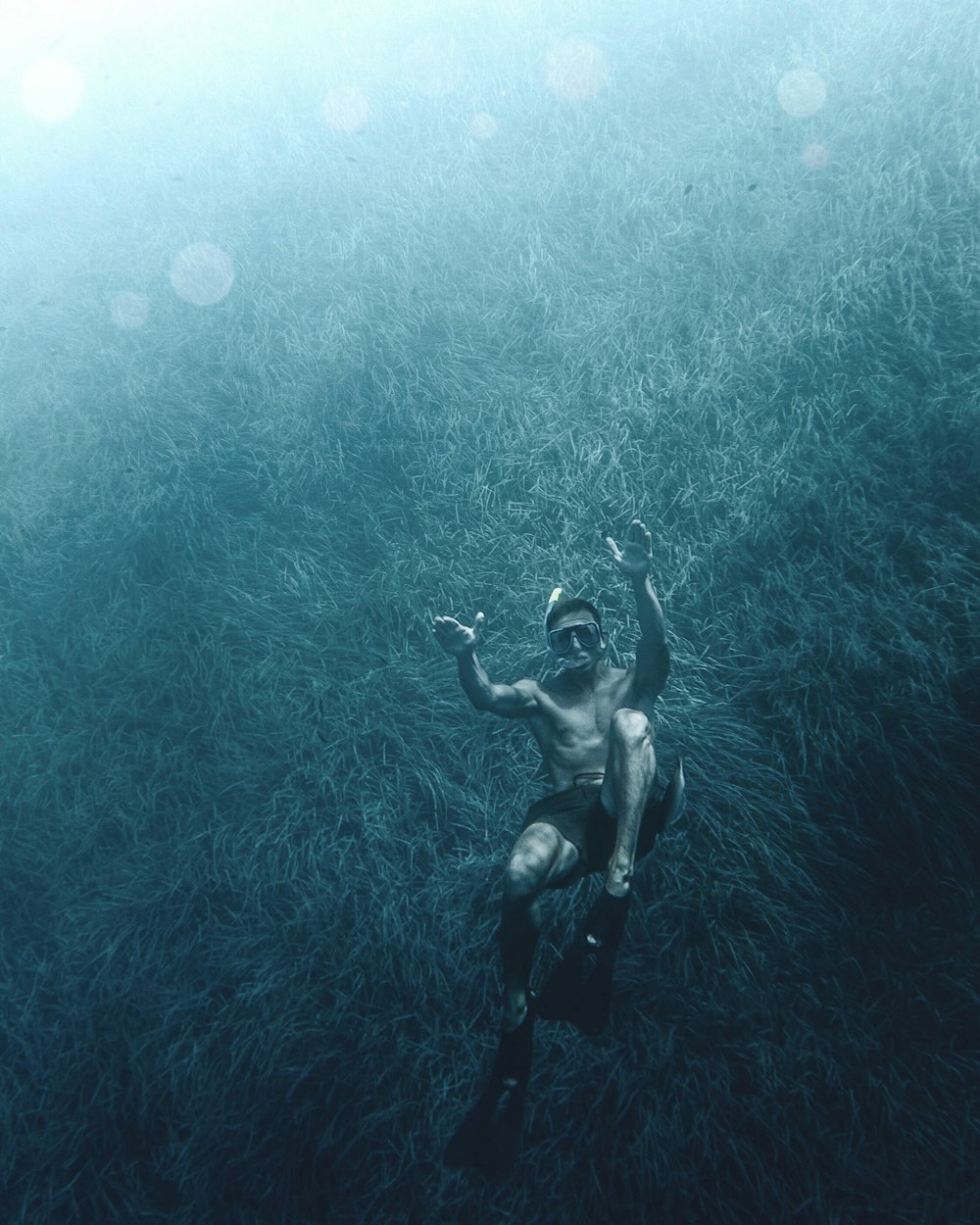 woman in black bikini swimming in water