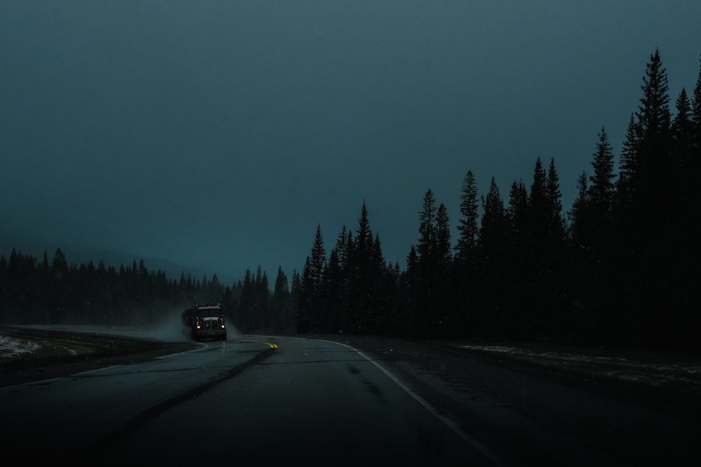 black car on road near trees during night time