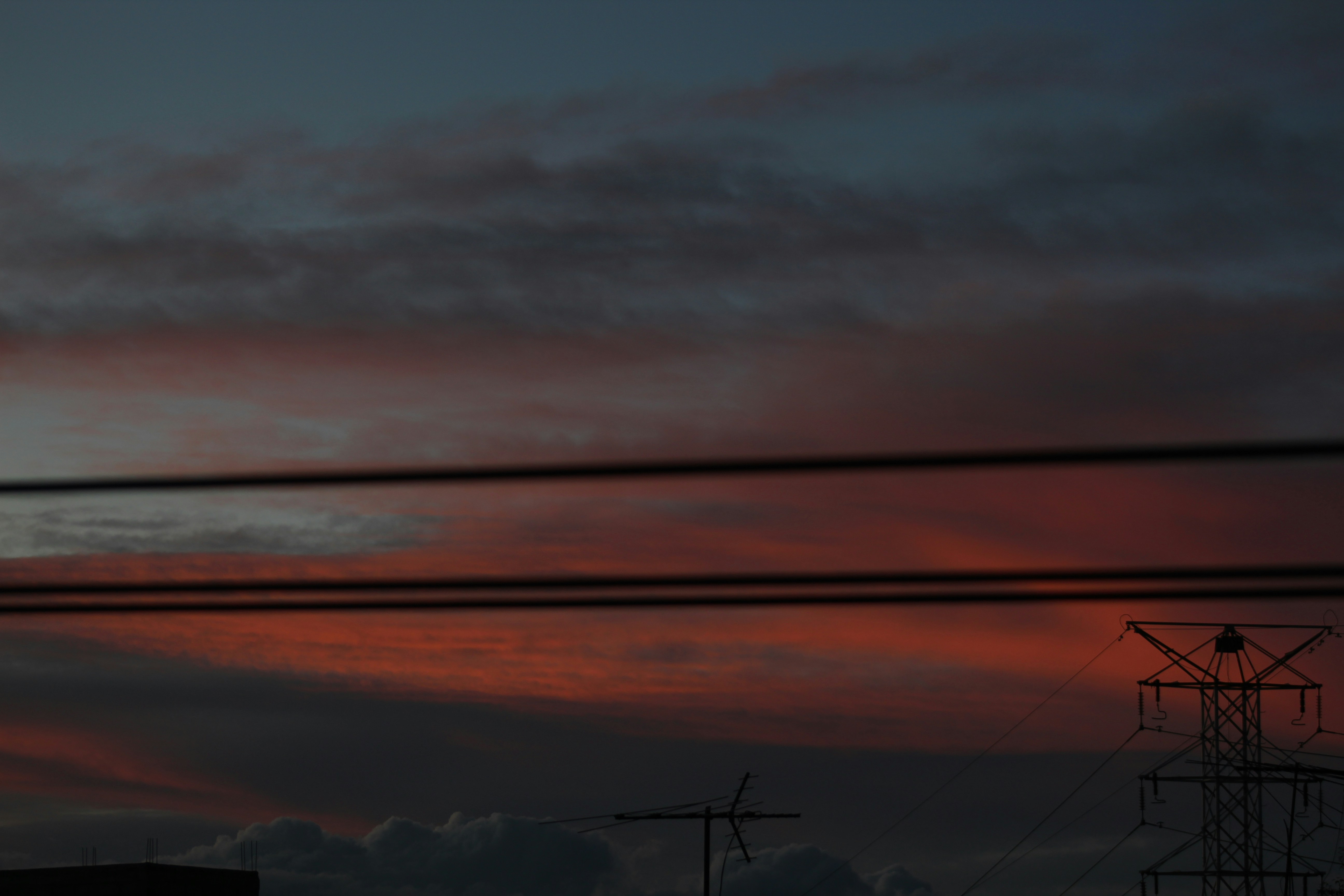 Photo by carlos210701