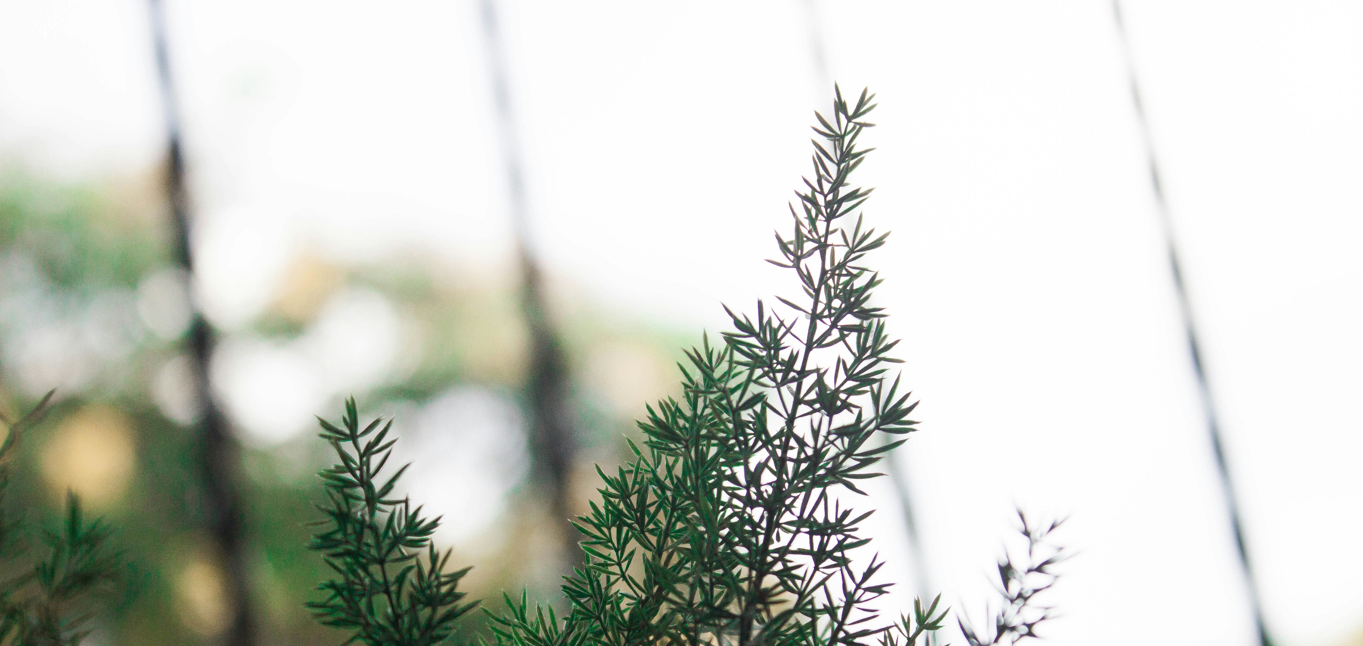 Photo by dhruvsaranmehra