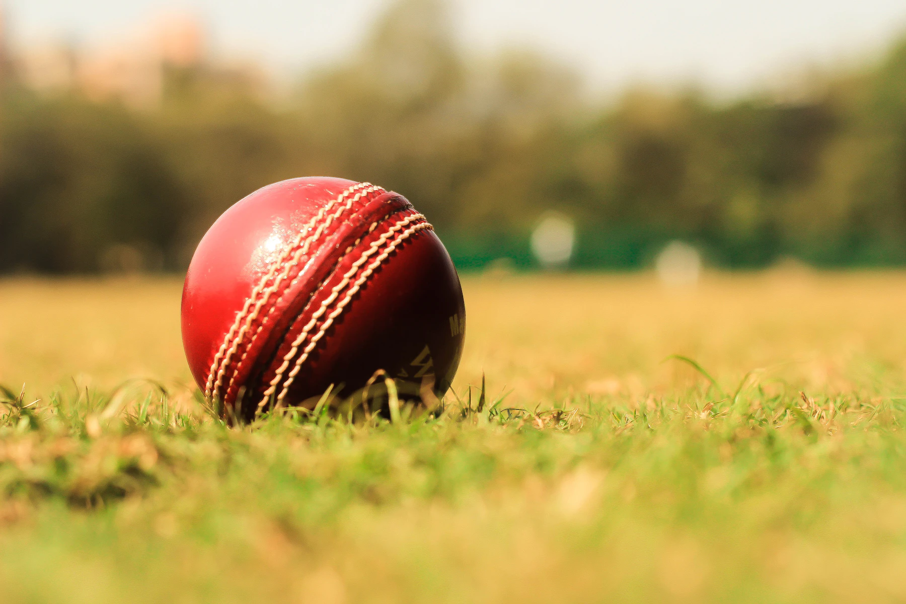 A red leather cricket ball lying in cut grass in low golden light
