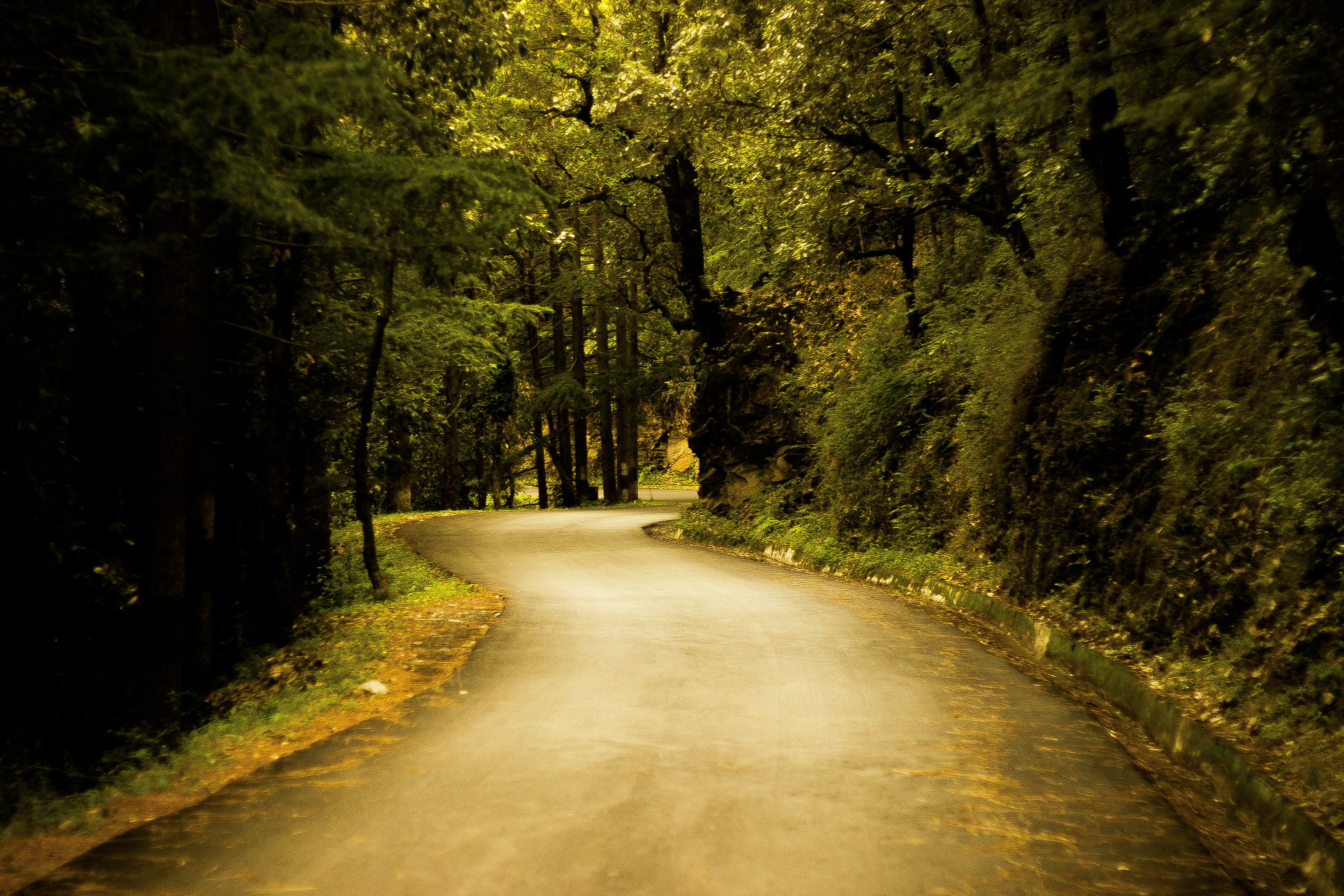 Photo by dhruvsaranmehra