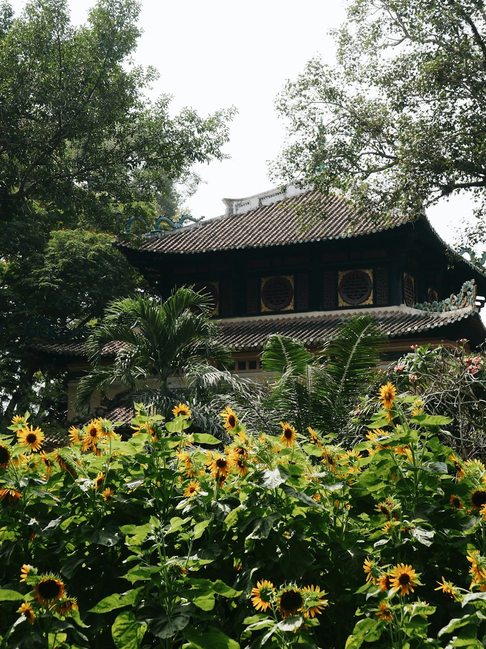 brown and white house surrounded by green trees