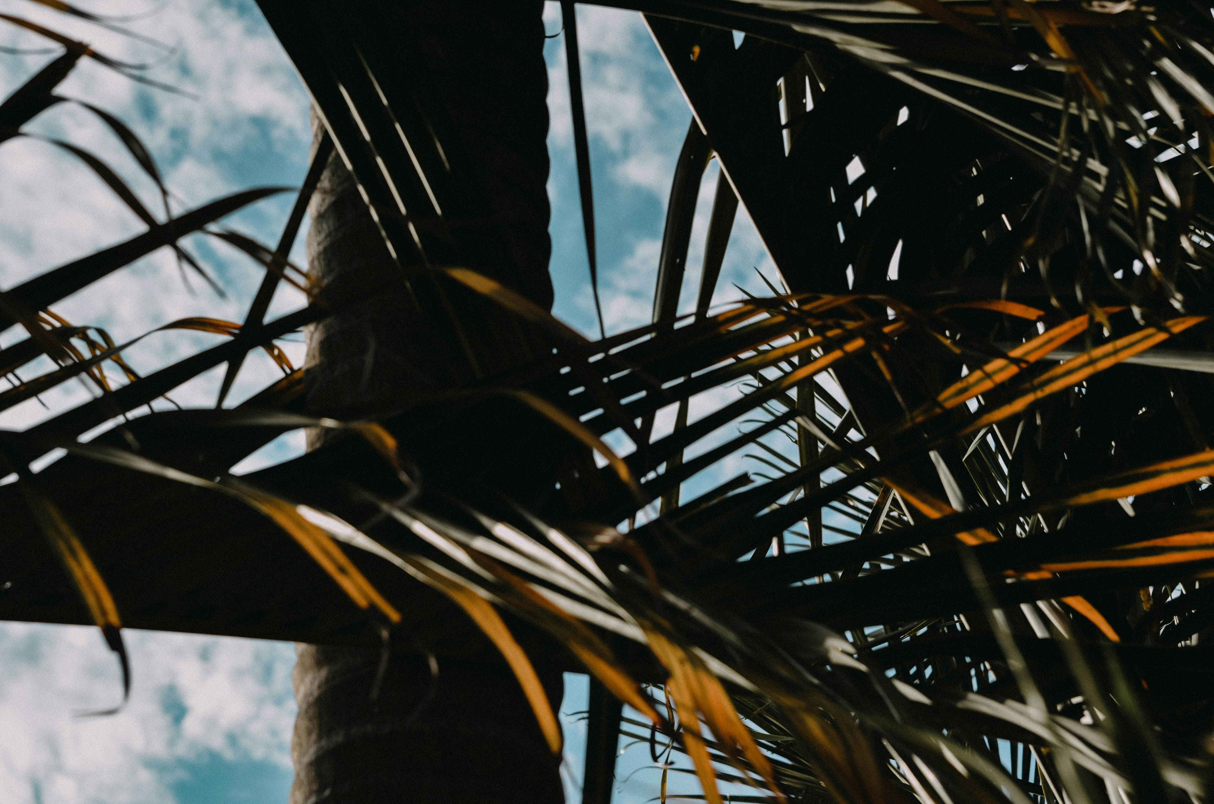 Photo by hannsutho99