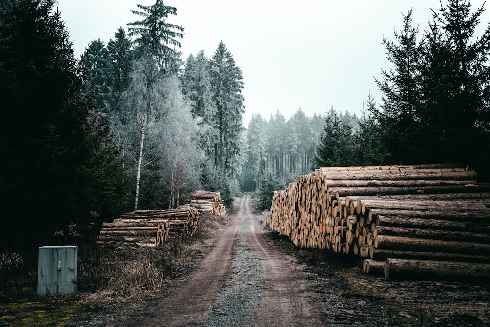 brown wooden logs on road