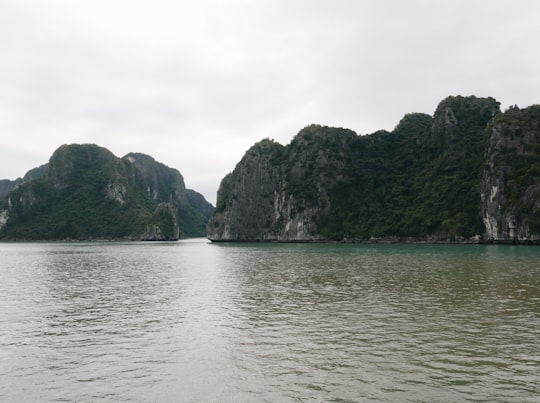 green trees on island during daytime in Halong Bay Vietnam