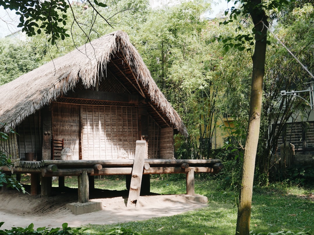 brown wooden house surrounded by green trees during daytime