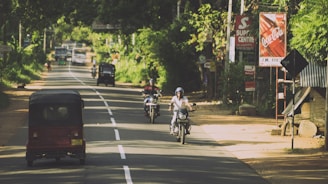 A rural road with vehicles including motorcycles and an auto rickshaw traveling along it. Trees and greenery line the sides of the road, creating a canopy effect. Various signs, including advertisements for Coca-Cola, are visible along the roadside. The scene is bright and sunny.