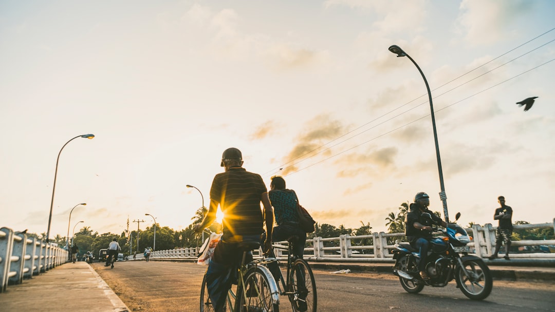 people riding bicycles on road during daytime