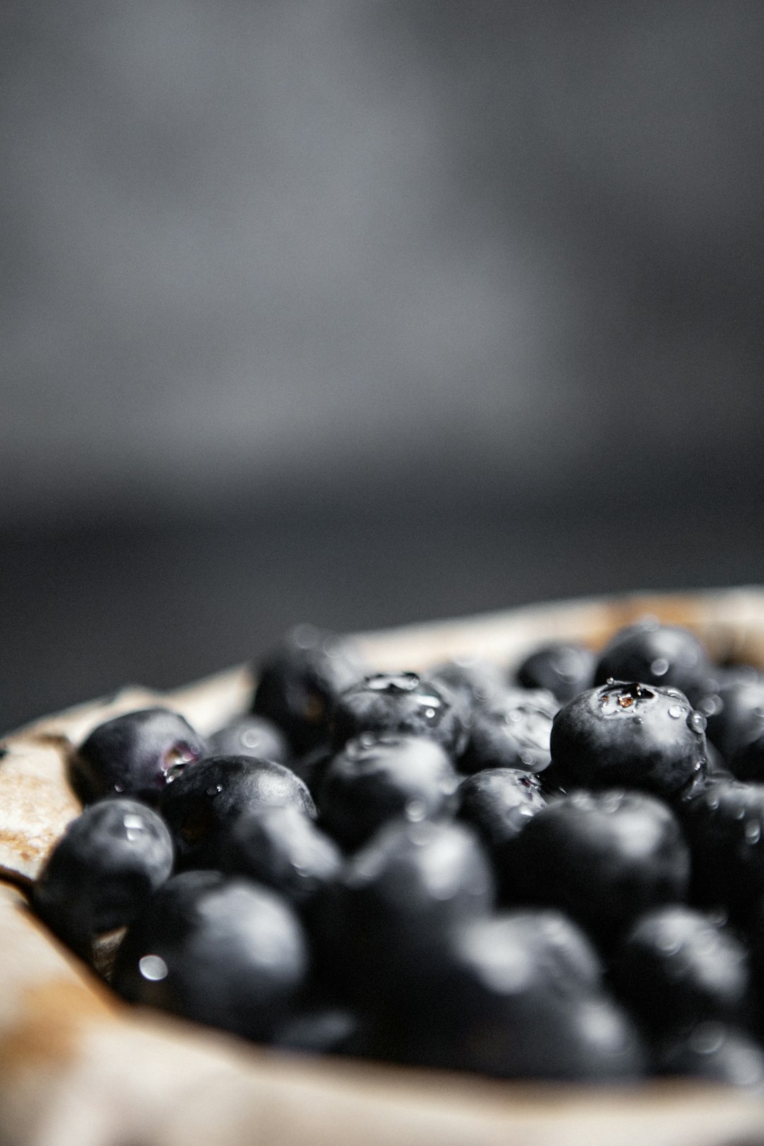 black berries on brown wooden stick