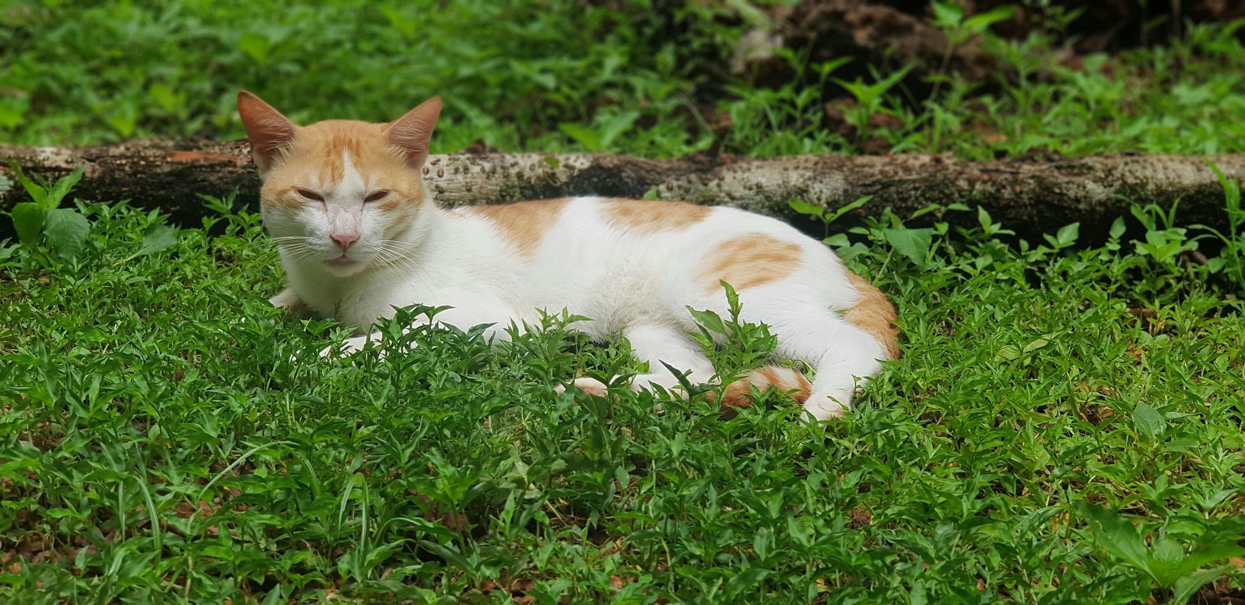 Photo by beauty_capturer