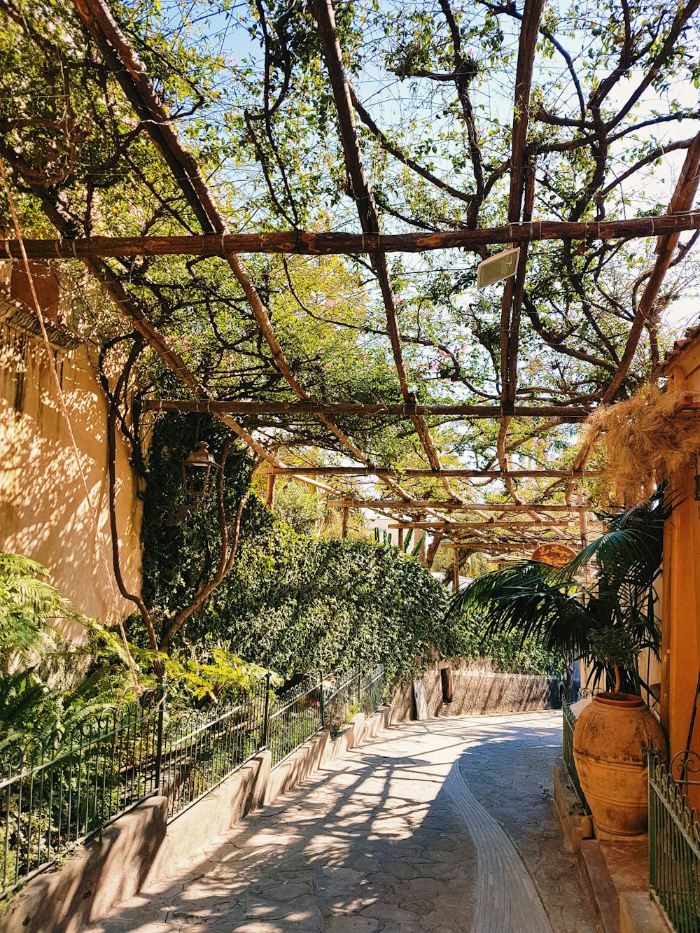 green trees near brown concrete wall