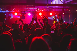people standing on stage with lights turned on during nighttime