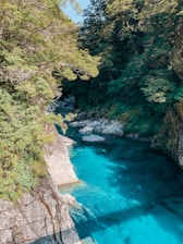 A serene river flowing through lush green forest in Bonito, MS.