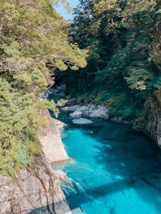 A serene river flowing through lush green forest in Bonito, MS.