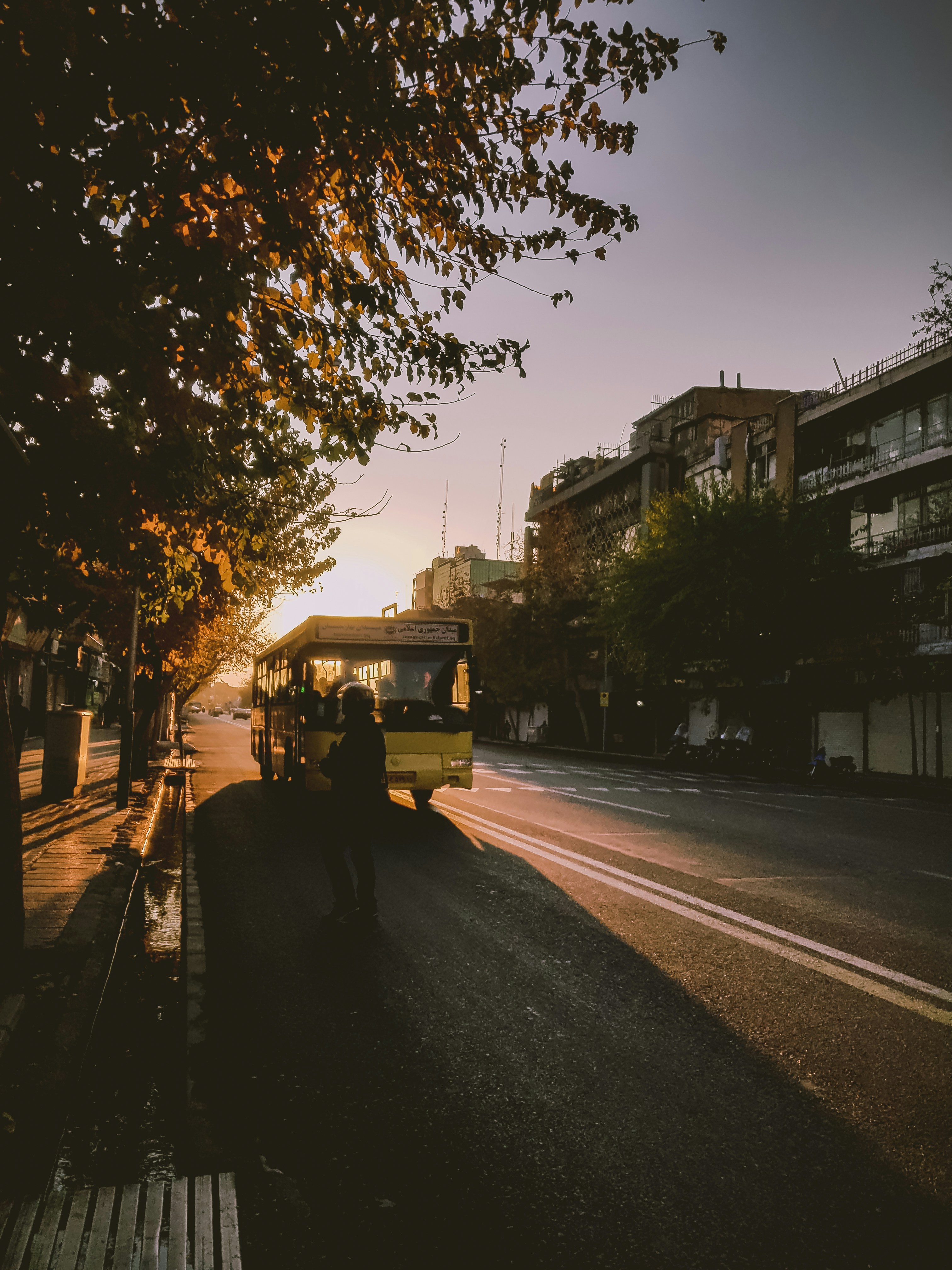 Photo by pouriaoskuie