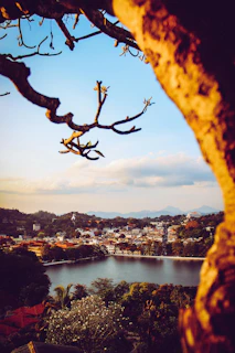 city skyline near body of water during daytime
