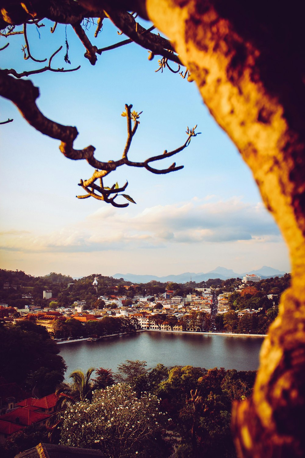 Horizonte de la ciudad cerca del cuerpo de agua durante el día