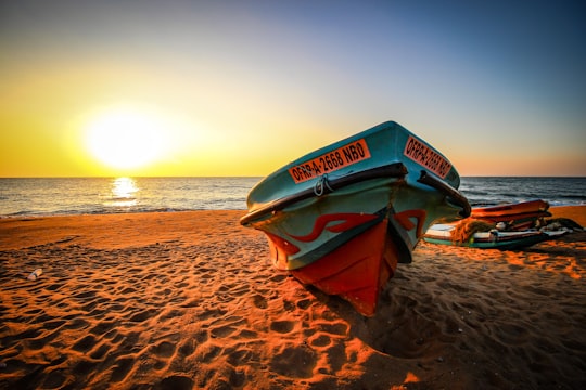 red and blue boat on brown sand near body of water during sunset in Negombo Sri Lanka