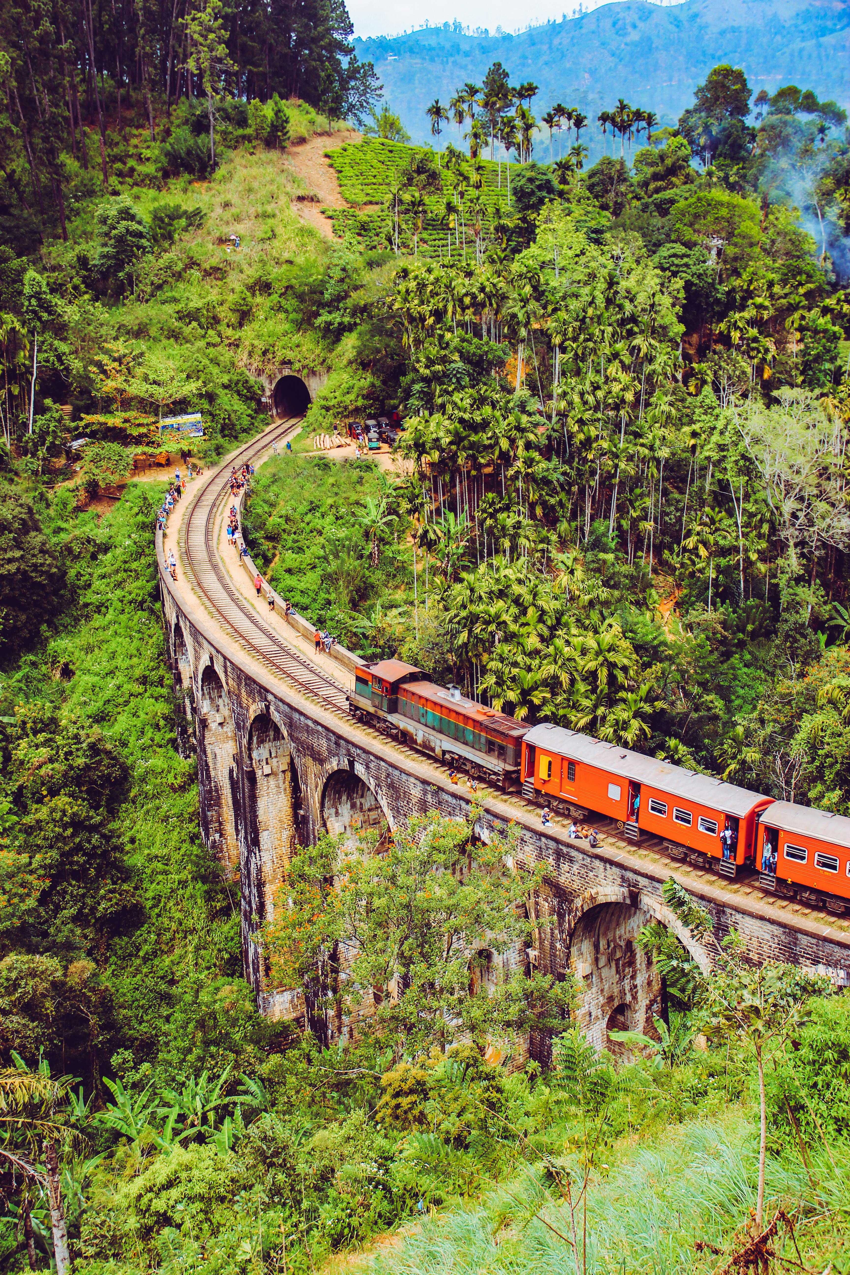 red and white train on rail track surrounded by green trees during daytime