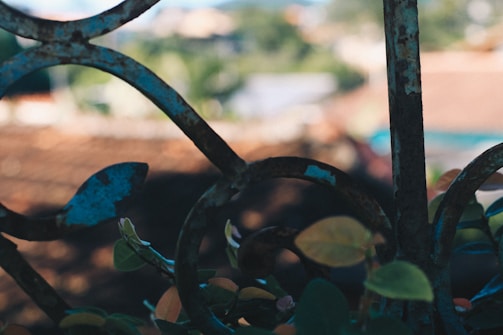 A close-up of a decorative fence with intricate details.