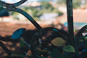 Decorative metalwork detail on a garden fence under natural light.
