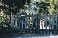 A wooden fence with graffiti stands in front of a lush, green landscape. The fence is weathered, surrounded by dense trees and foliage. Behind the fence, a building with a slanted roof is partially visible. Sunlight filters through the leaves, creating patches of light and shadow on the ground.