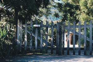 A wooden fence with graffiti stands in front of a lush, green landscape. The fence is weathered, surrounded by dense trees and foliage. Behind the fence, a building with a slanted roof is partially visible. Sunlight filters through the leaves, creating patches of light and shadow on the ground.