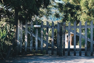 A wooden fence with graffiti stands in front of a lush, green landscape. The fence is weathered, surrounded by dense trees and foliage. Behind the fence, a building with a slanted roof is partially visible. Sunlight filters through the leaves, creating patches of light and shadow on the ground.