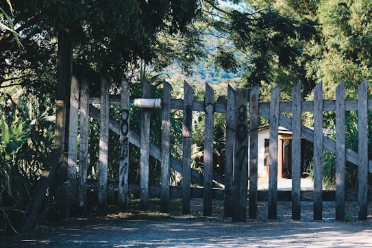A wooden fence with graffiti stands in front of a lush, green landscape. The fence is weathered, surrounded by dense trees and foliage. Behind the fence, a building with a slanted roof is partially visible. Sunlight filters through the leaves, creating patches of light and shadow on the ground.