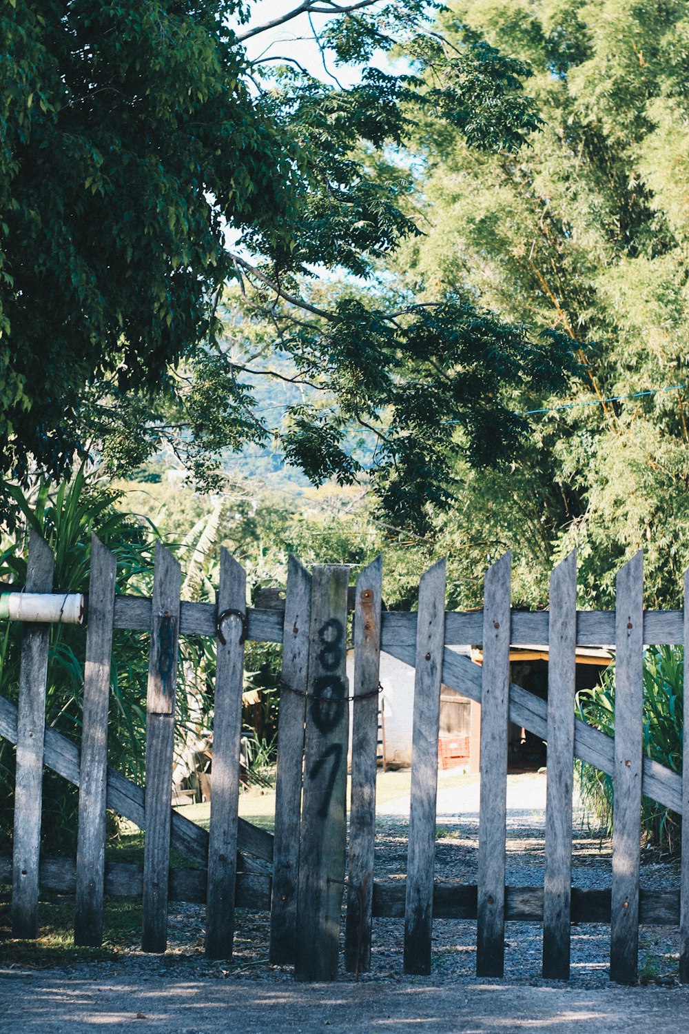 brown wooden fence near green trees during daytime