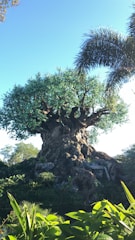 A large, intricately designed artificial tree structure resembling a banyan tree stands tall amidst lush greenery. The trunk of the tree is detailed with carvings of various animals, while the dense foliage creates a broad, leafy canopy. Surrounding the tree is a mix of tropical plants and palm trees under a clear, bright blue sky.