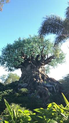A large, intricately designed artificial tree structure resembling a banyan tree stands tall amidst lush greenery. The trunk of the tree is detailed with carvings of various animals, while the dense foliage creates a broad, leafy canopy. Surrounding the tree is a mix of tropical plants and palm trees under a clear, bright blue sky.