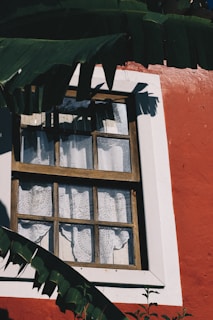 A wooden-framed window with lace curtains set in a red stucco wall, partially obscured by the large leaves of a banana plant casting shadows.