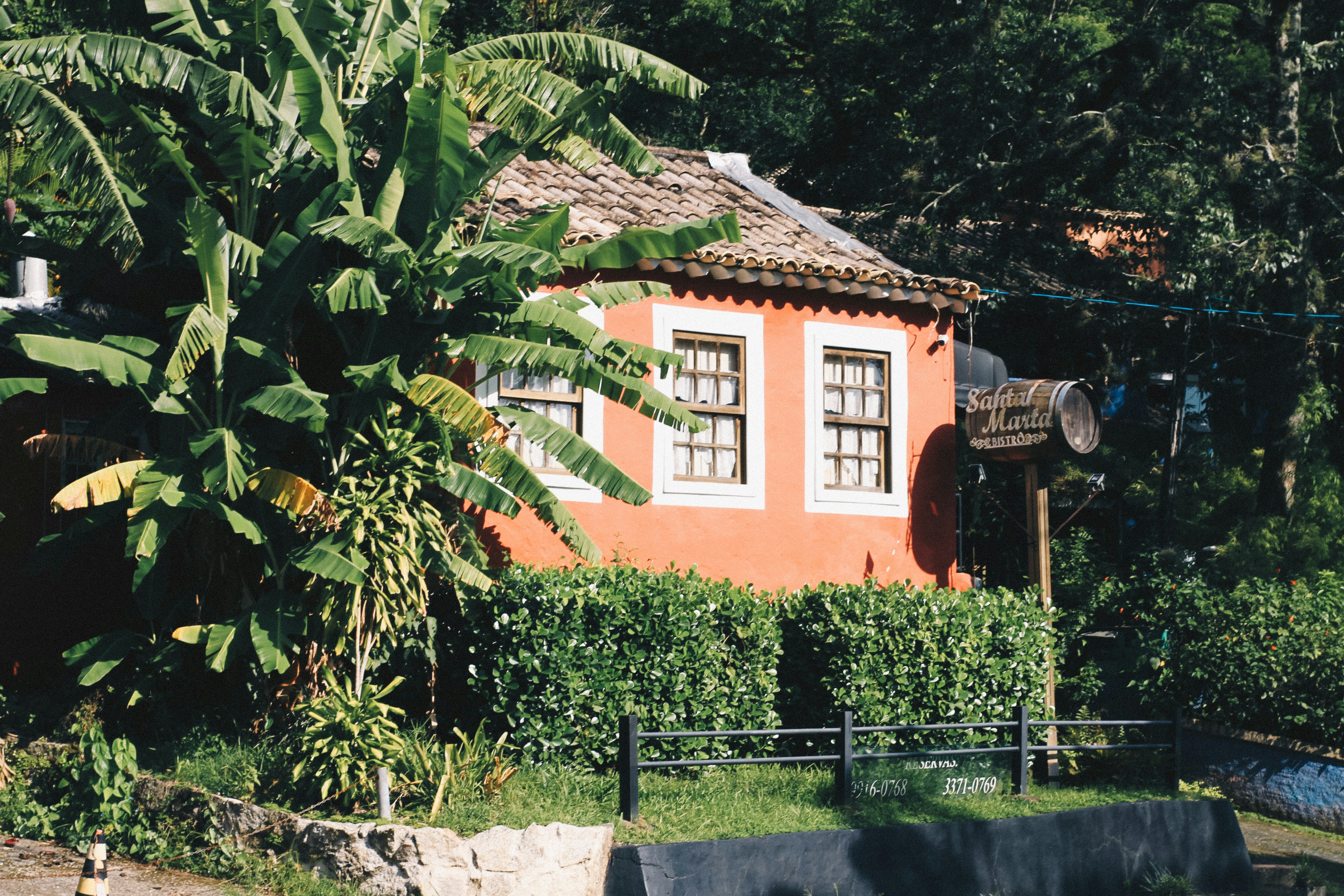 green trees beside brown concrete house during daytime
