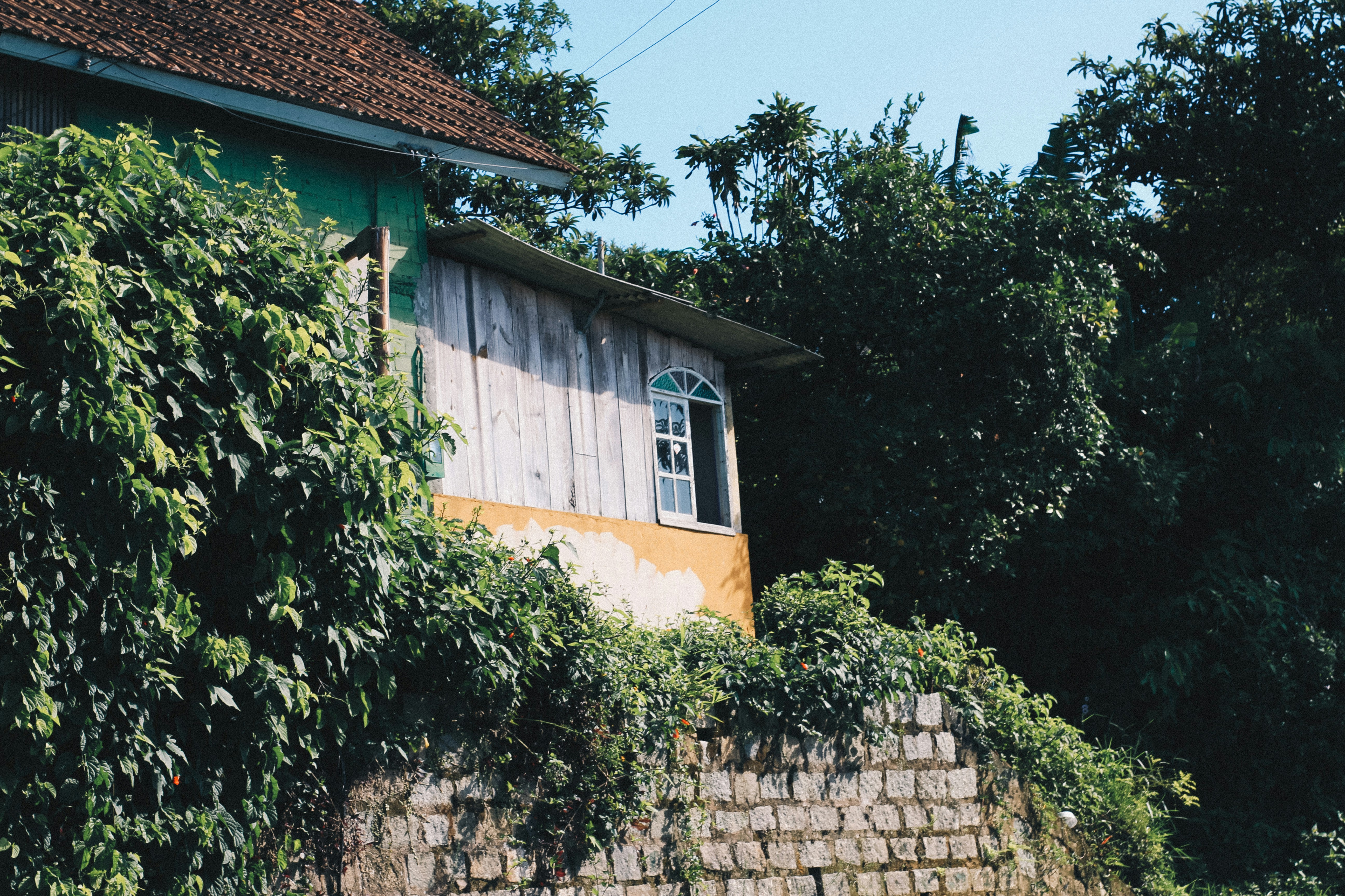 Concrete cleaning service