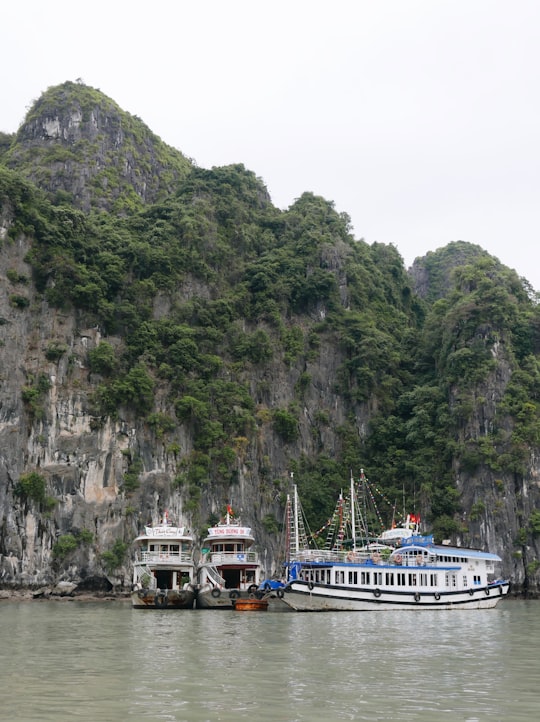 white and blue boat on water near green mountain during daytime in Halong Bay Vietnam