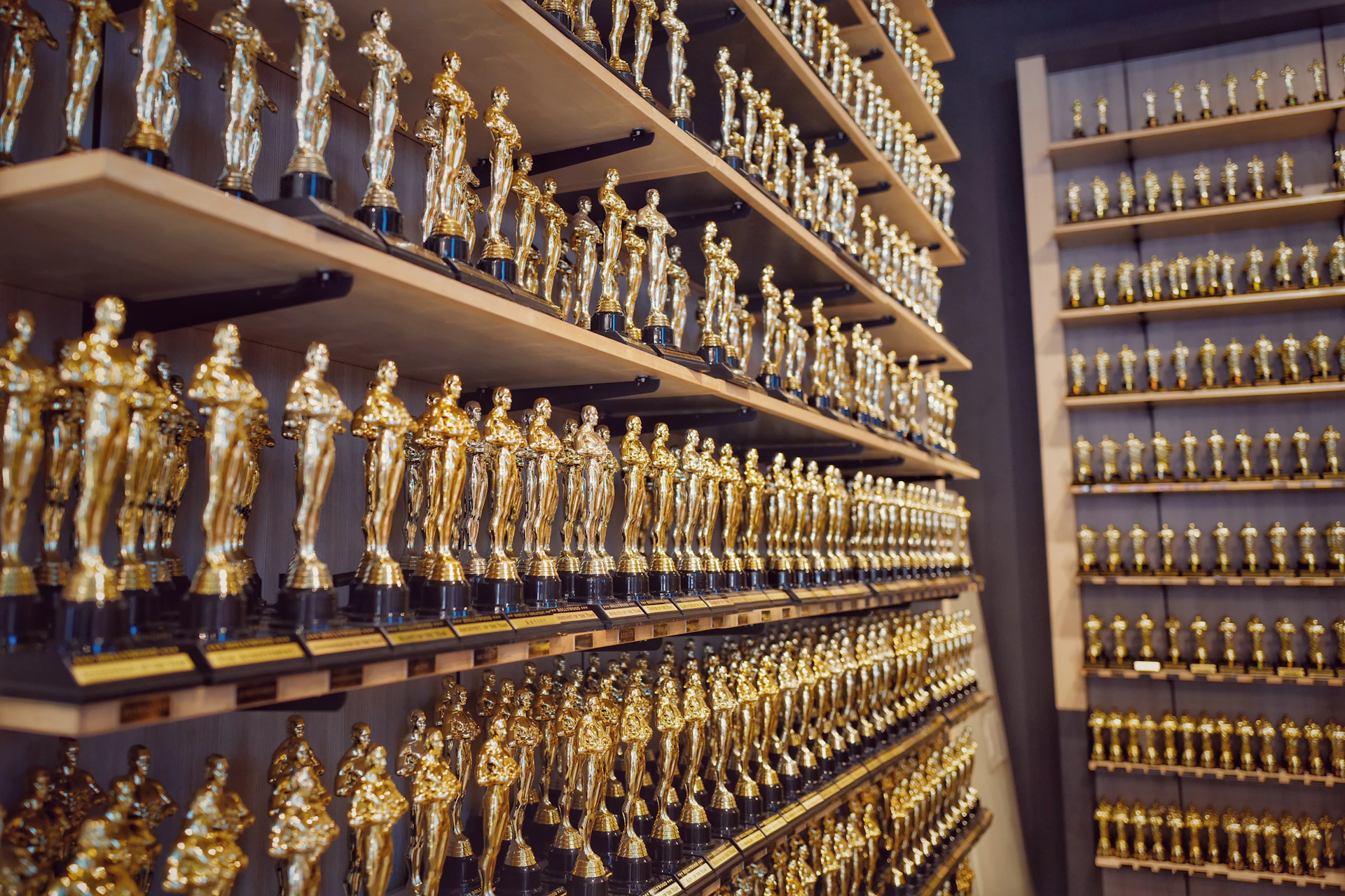 gold and silver trophy on brown wooden shelf