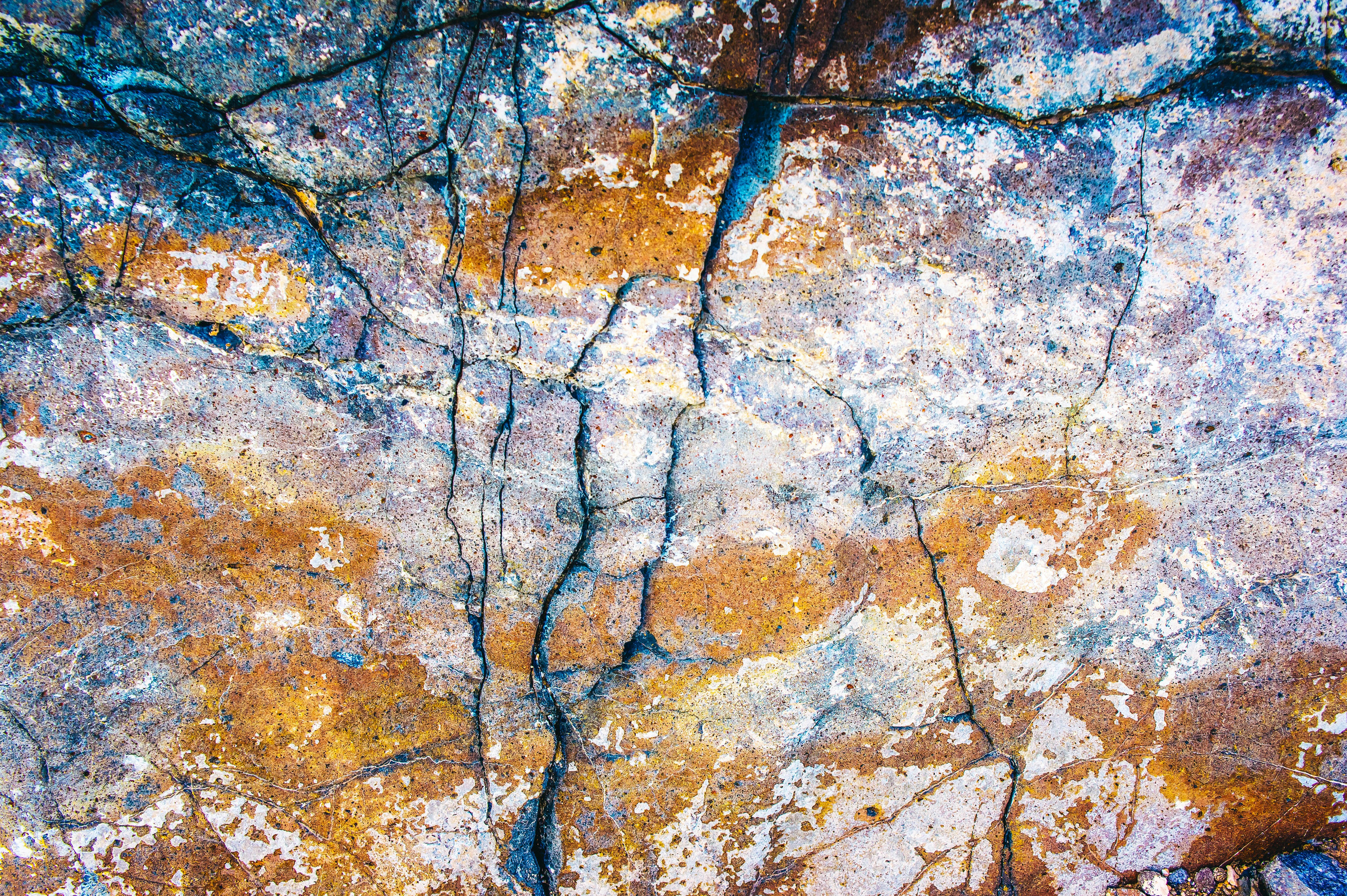 Photo by laurisrozentals