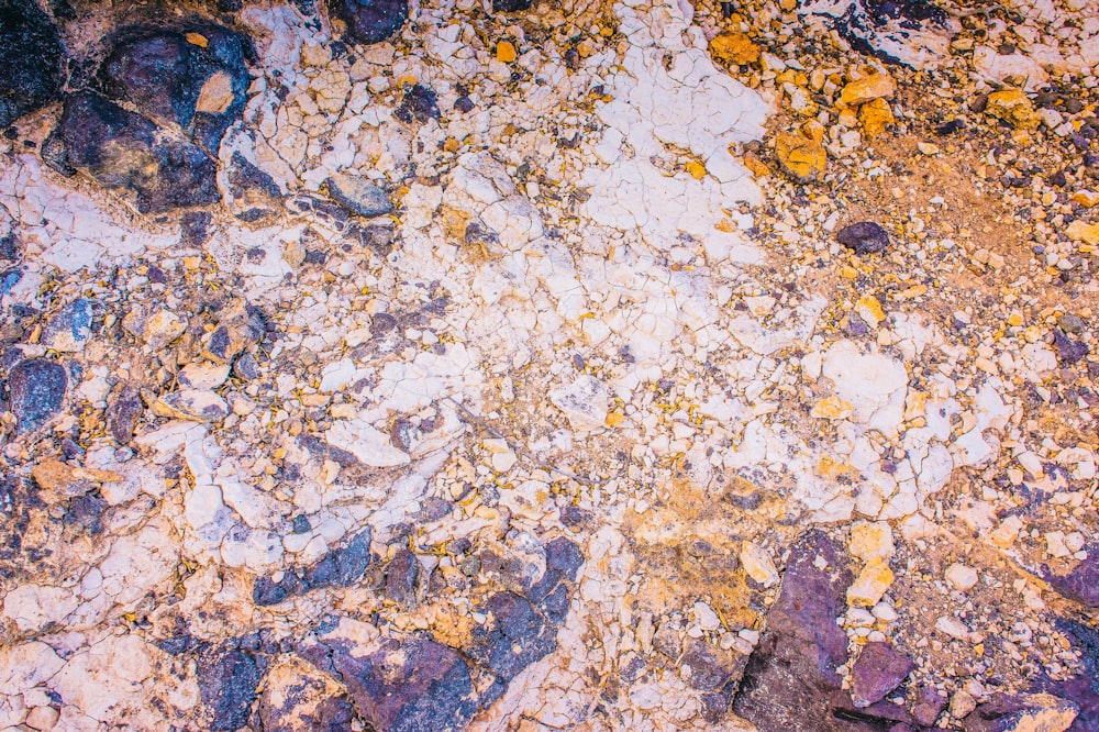 white and brown stone fragments