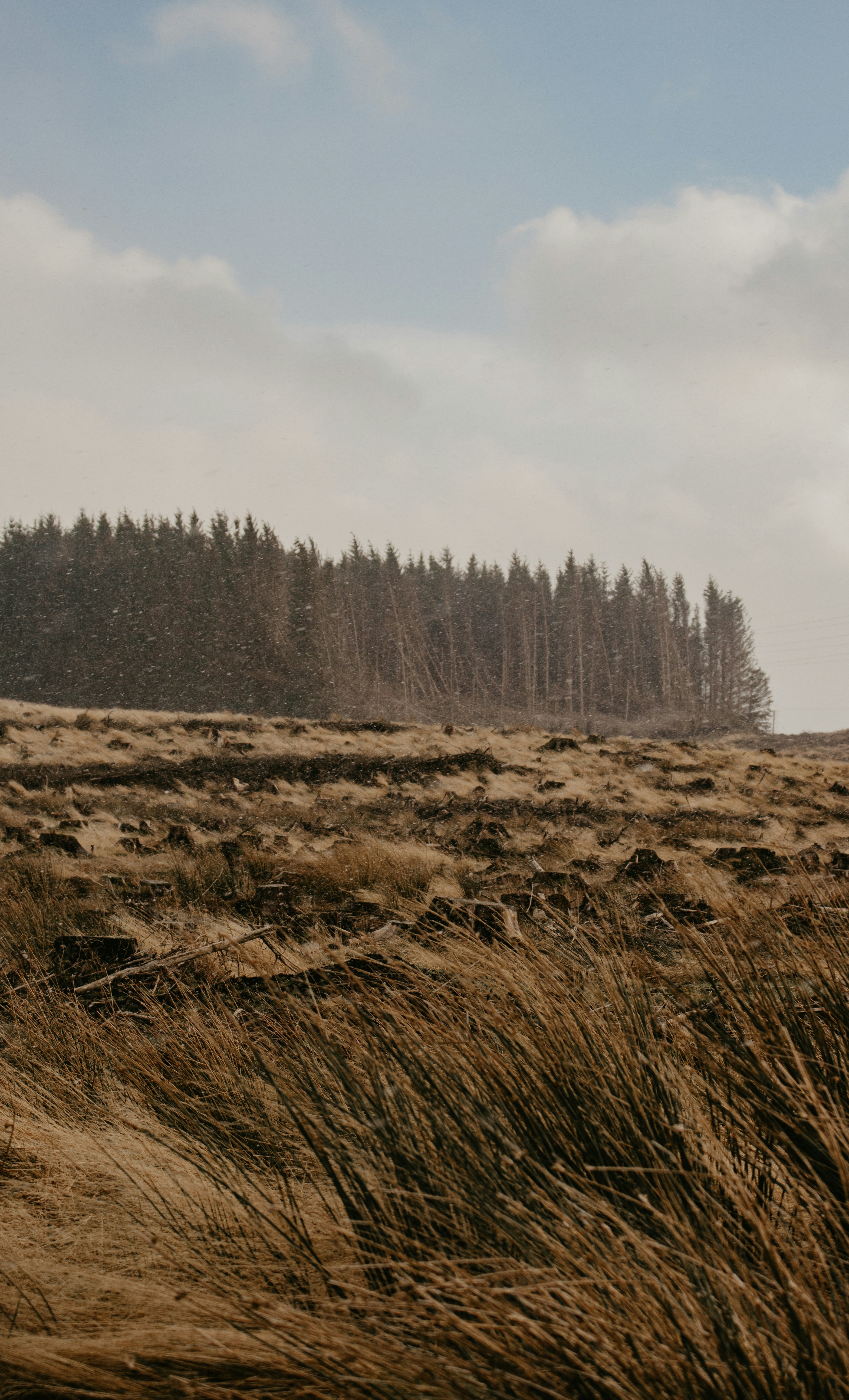 Photo by nathanmcdine