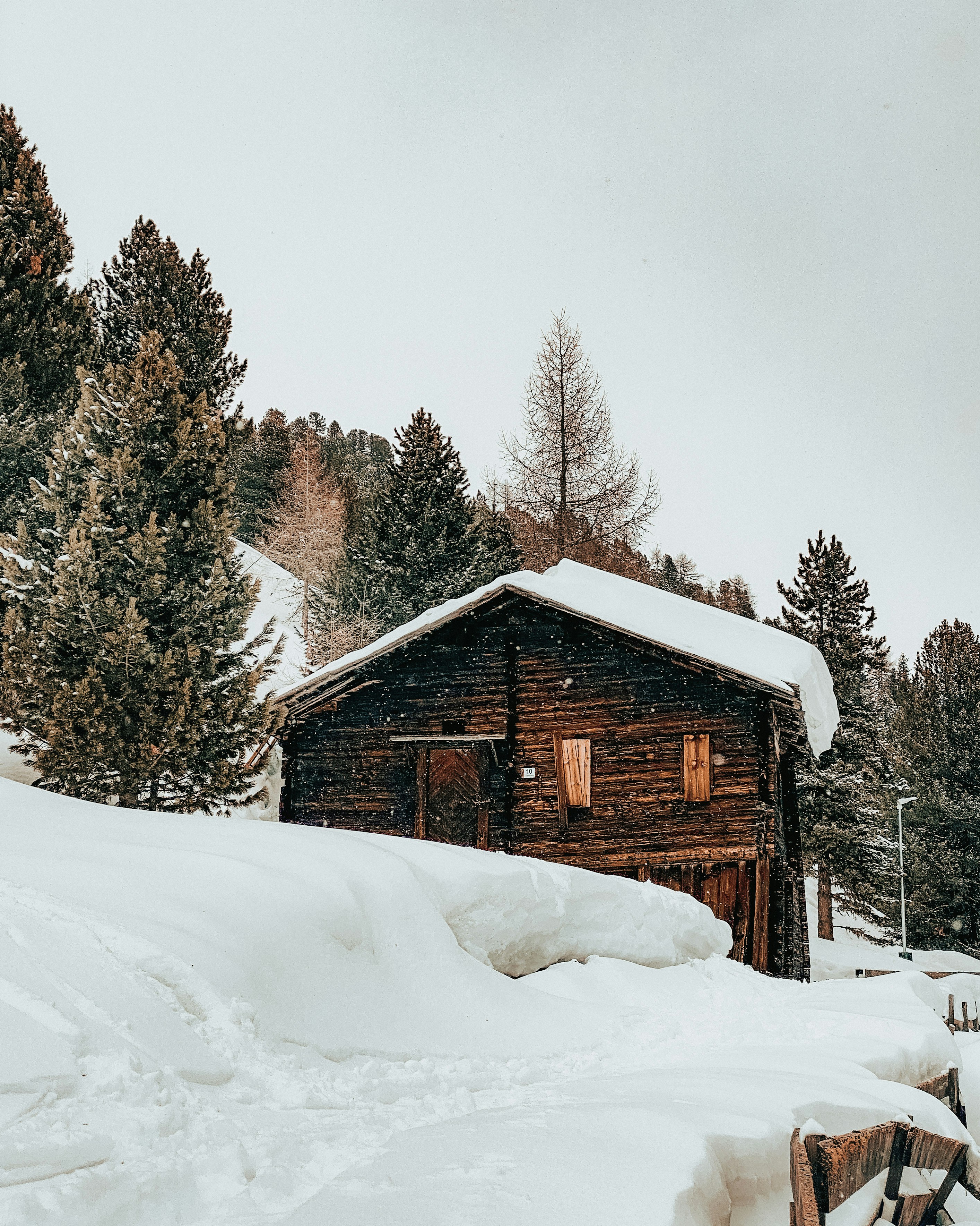 Photo by tamas_tuzeskatai