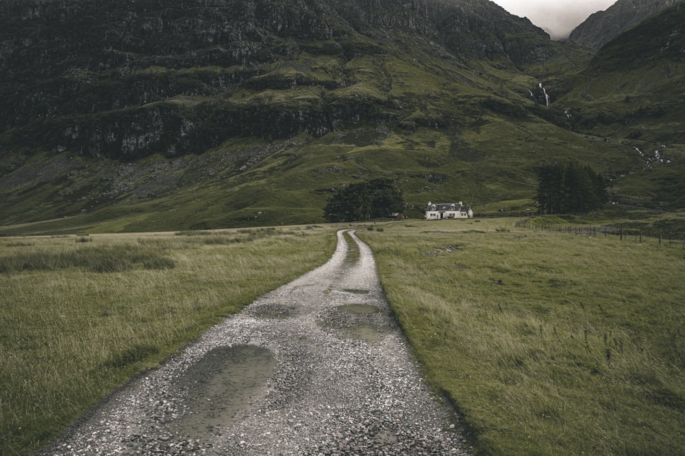 gray road in between green grass field during daytime