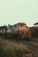 green and brown train on rail tracks