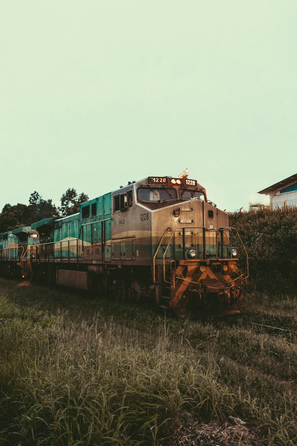 green and brown train on rail tracks