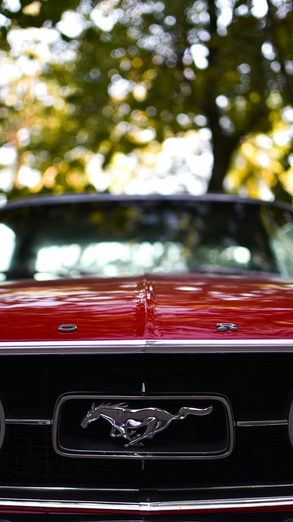 red car in front of green trees during daytime