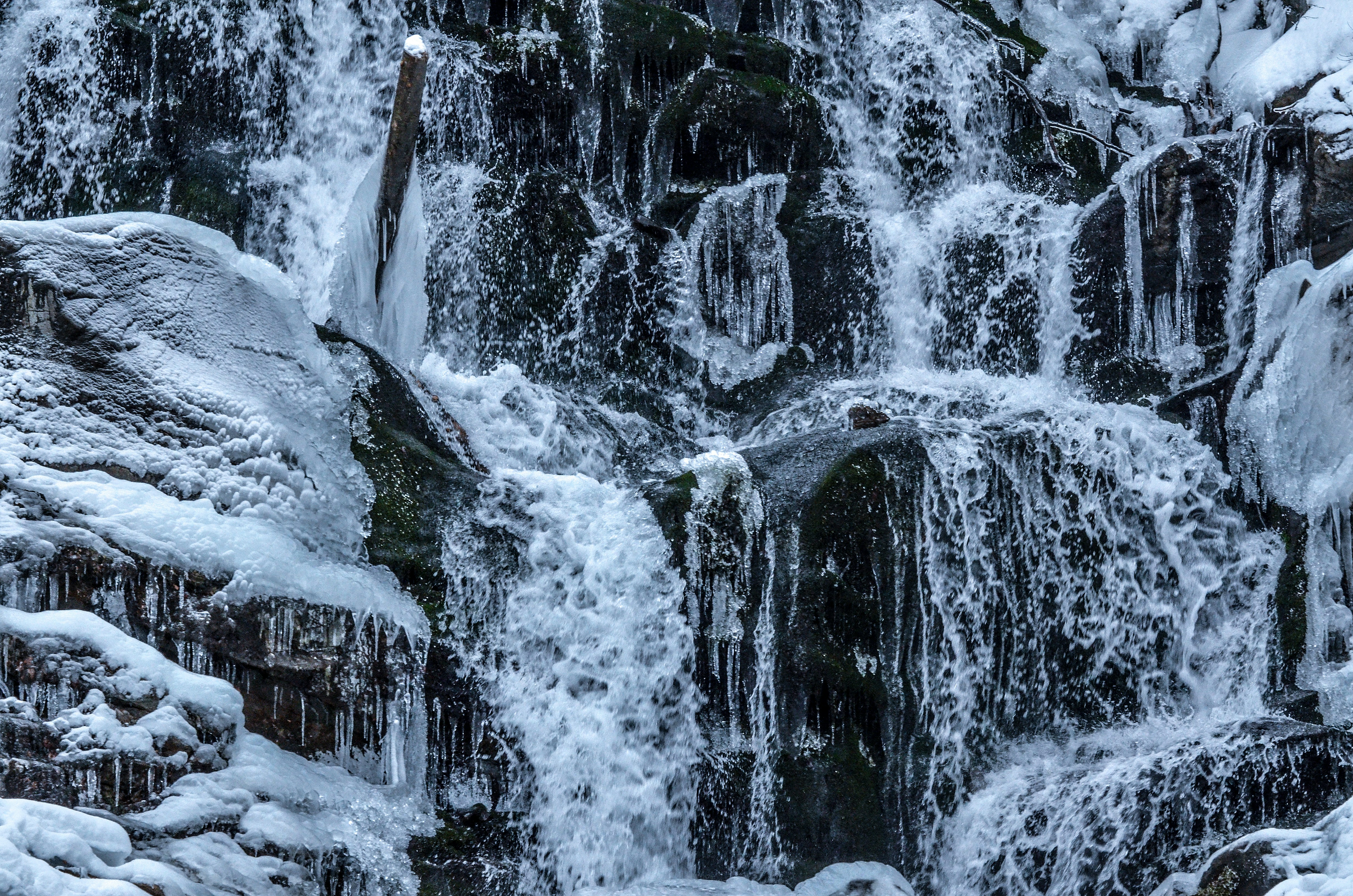 Photo by viktortalashuk